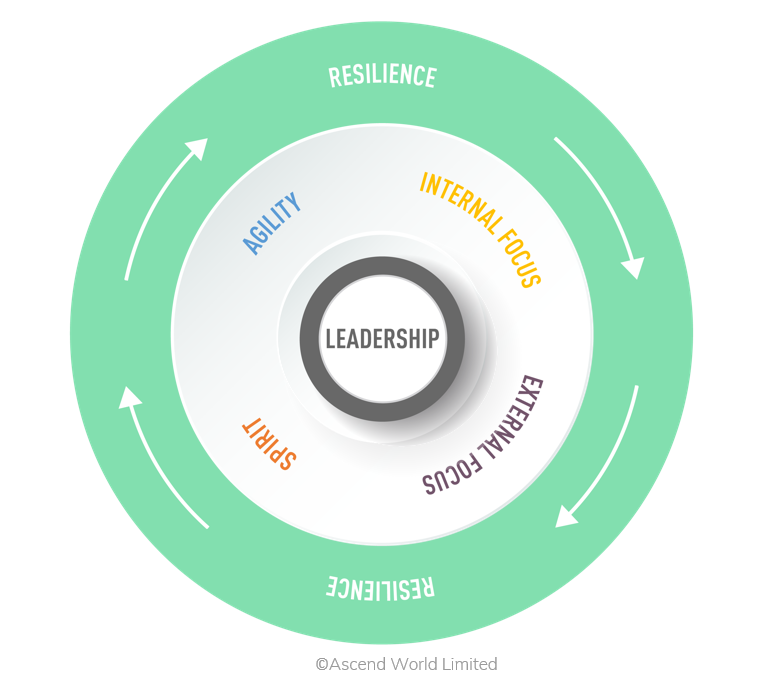 Increase the Performance of Your Senior Team — Ascend