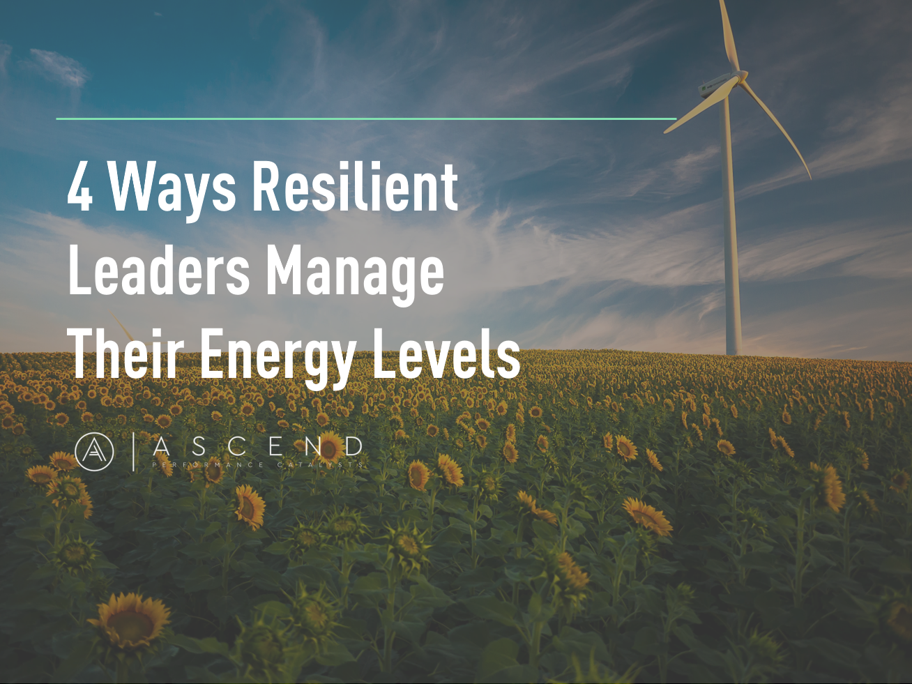4 ways resilient leaders manage their energy levels