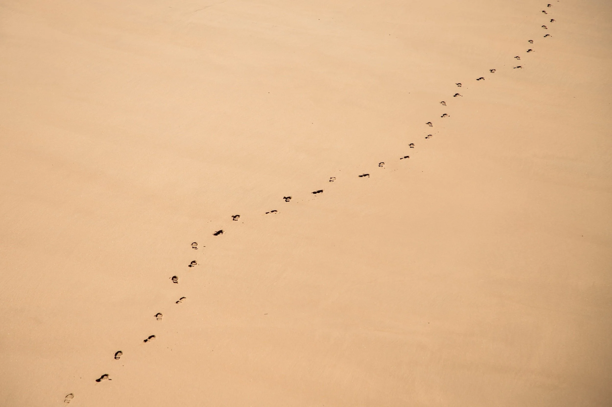 The Path Back Home to Yourself: Embracing Inner Wisdom and Personal Power