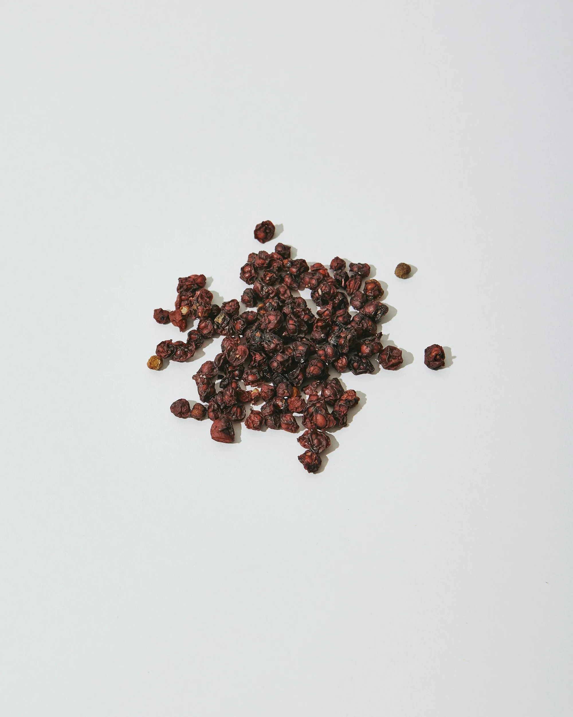 Exploring the Healing Powers of Schisandra: Nature's Secret Elixir