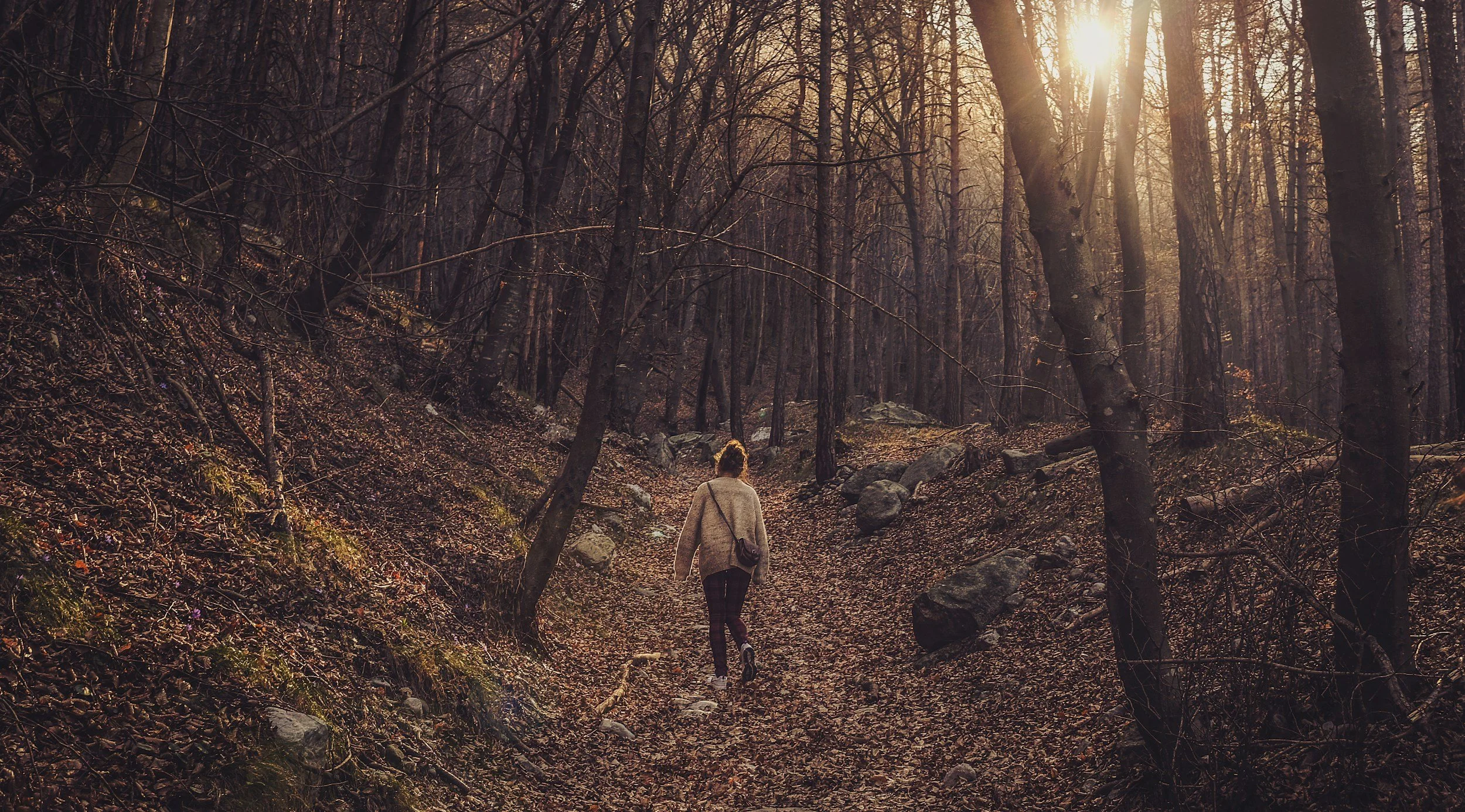 Walking: The Underrated Health Hack for Body, Mind, and Soul – Haven Health Hack
