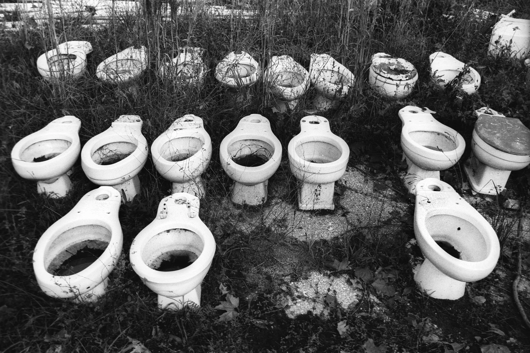 Toilets, Beaver Street, Jacksonville