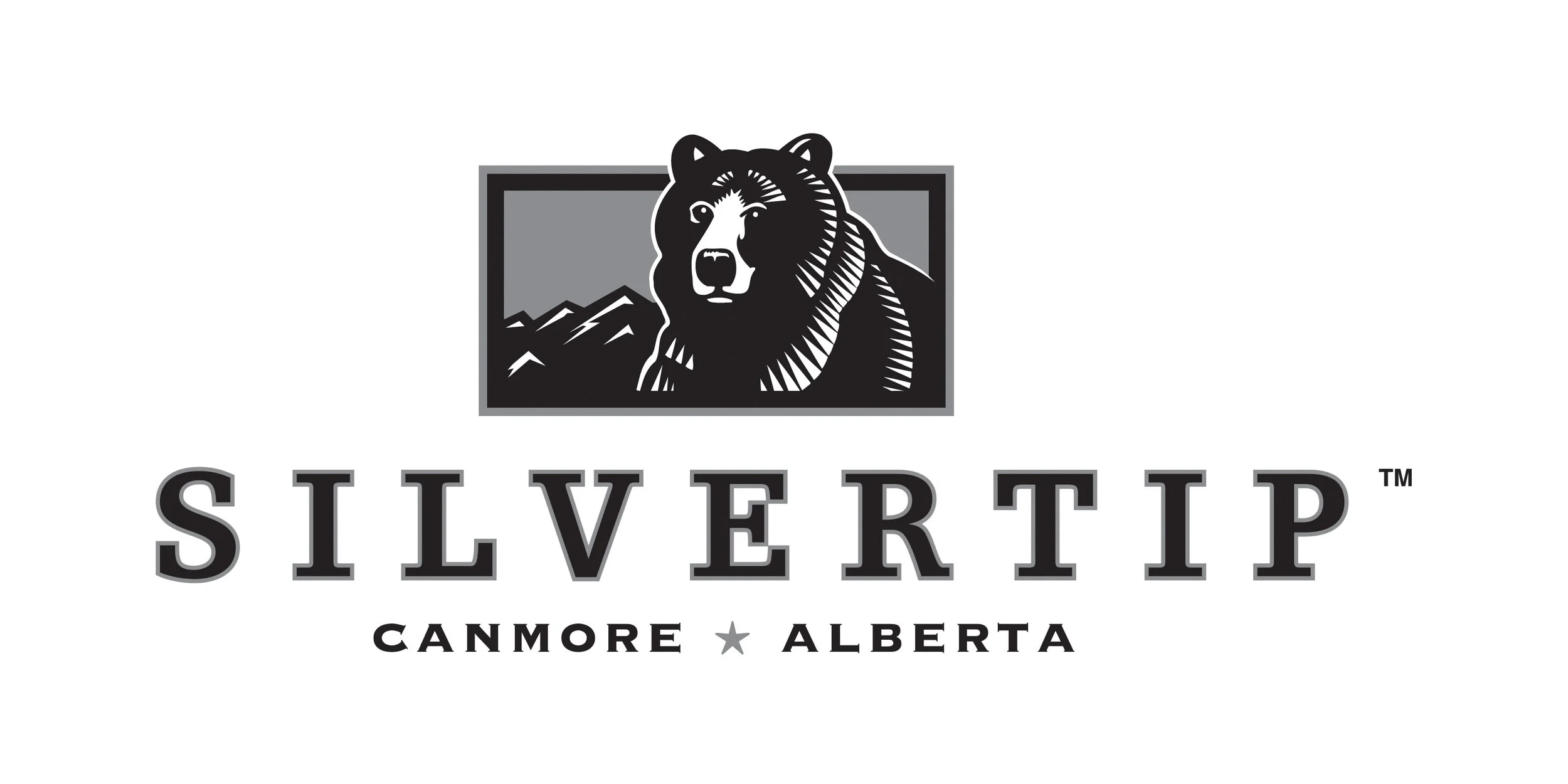 Silvertip Logo with grey background-2014-DW.jpg