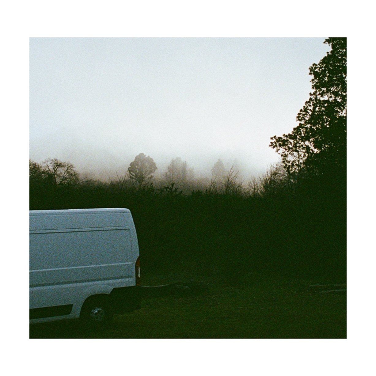 Whitagram-Image.jpeg