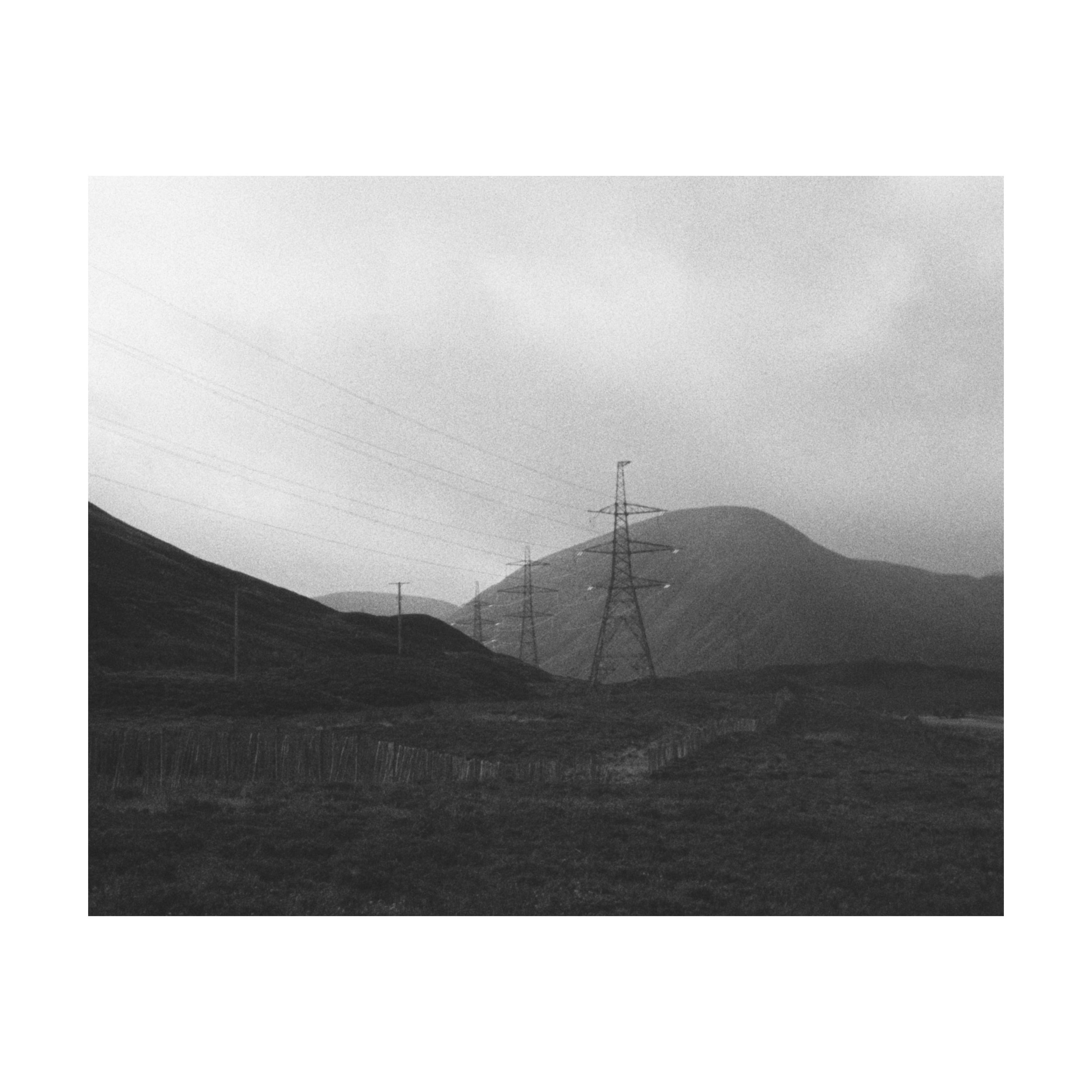 Whitagram-Image.jpeg
