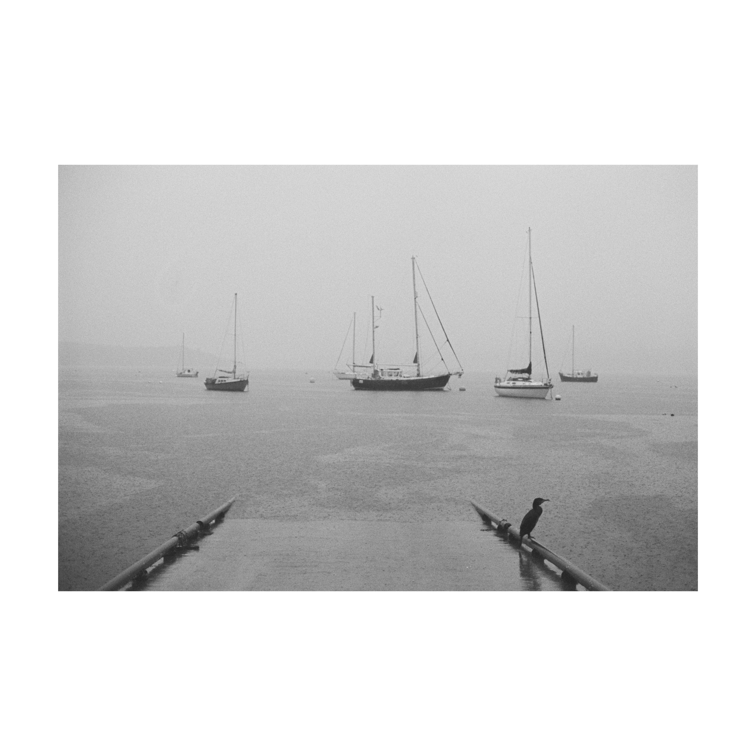 Whitagram-Image.jpeg