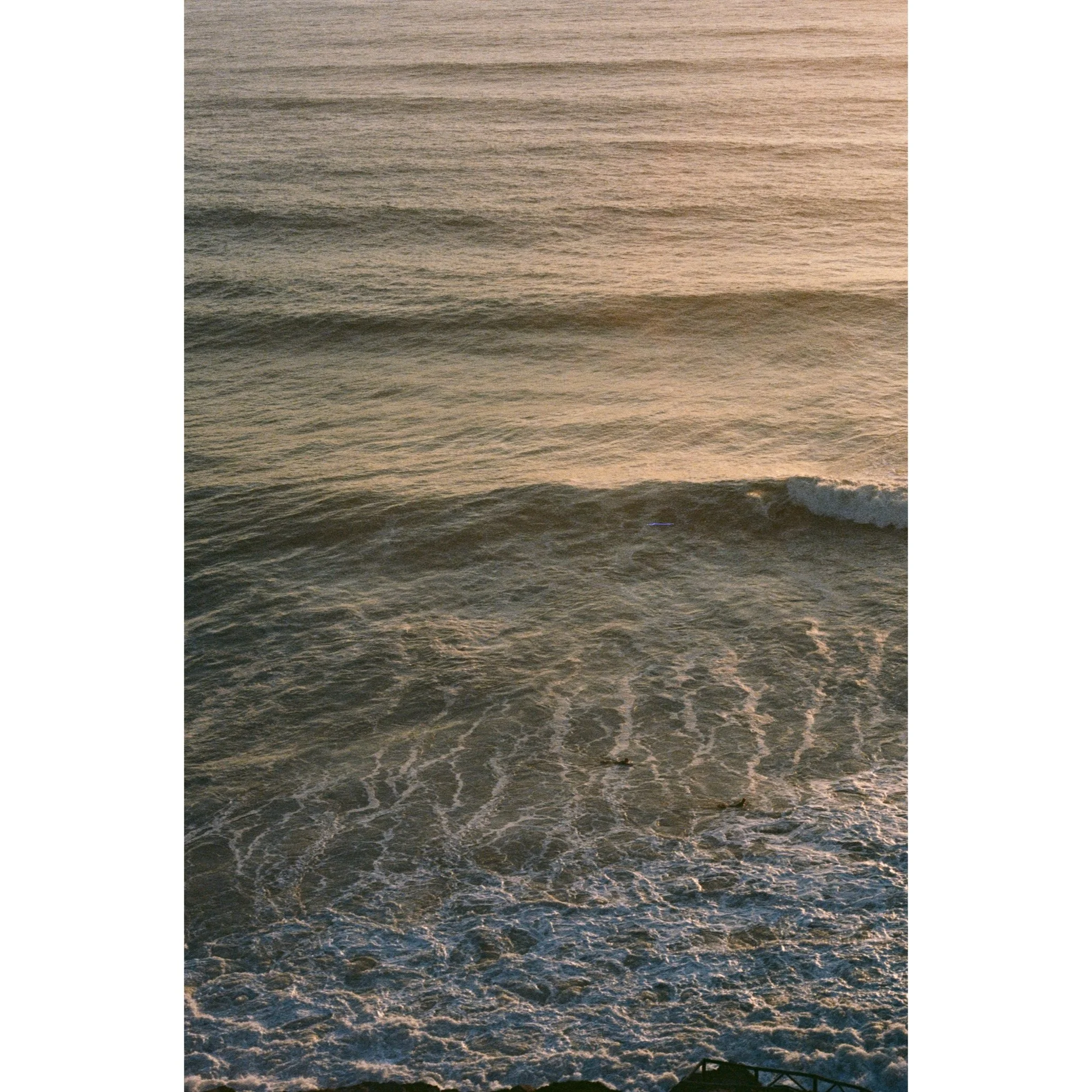 Whitagram-Image.jpeg