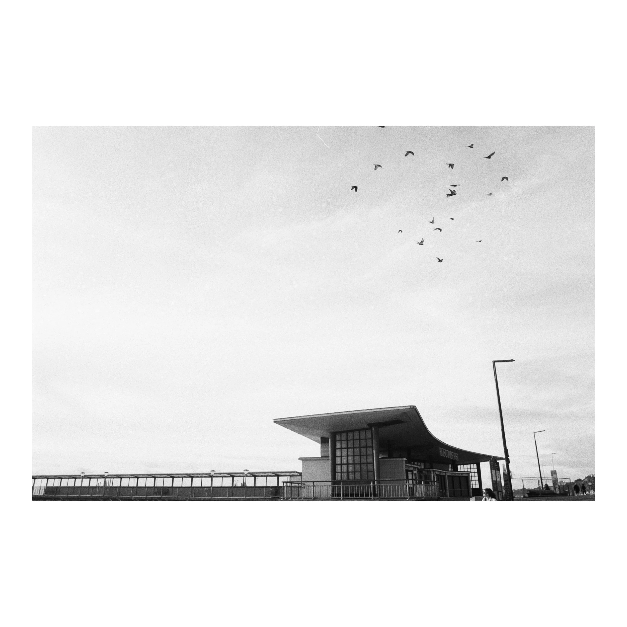 Whitagram-Image.jpeg