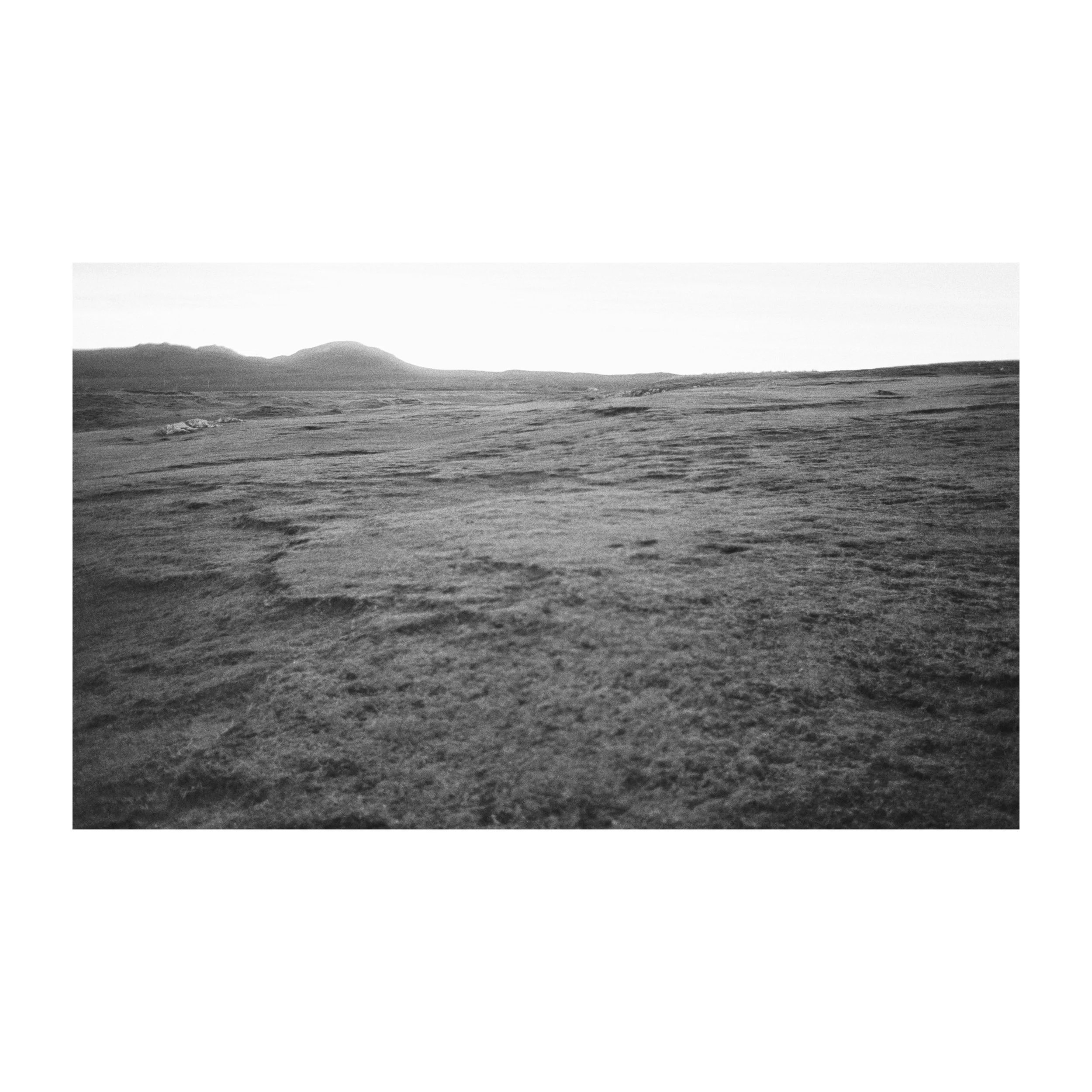 Whitagram-Image.jpeg
