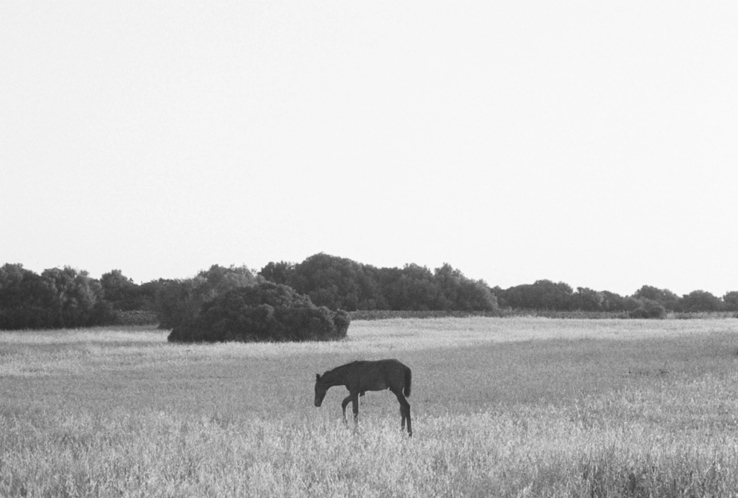 IMG_0286.jpeg