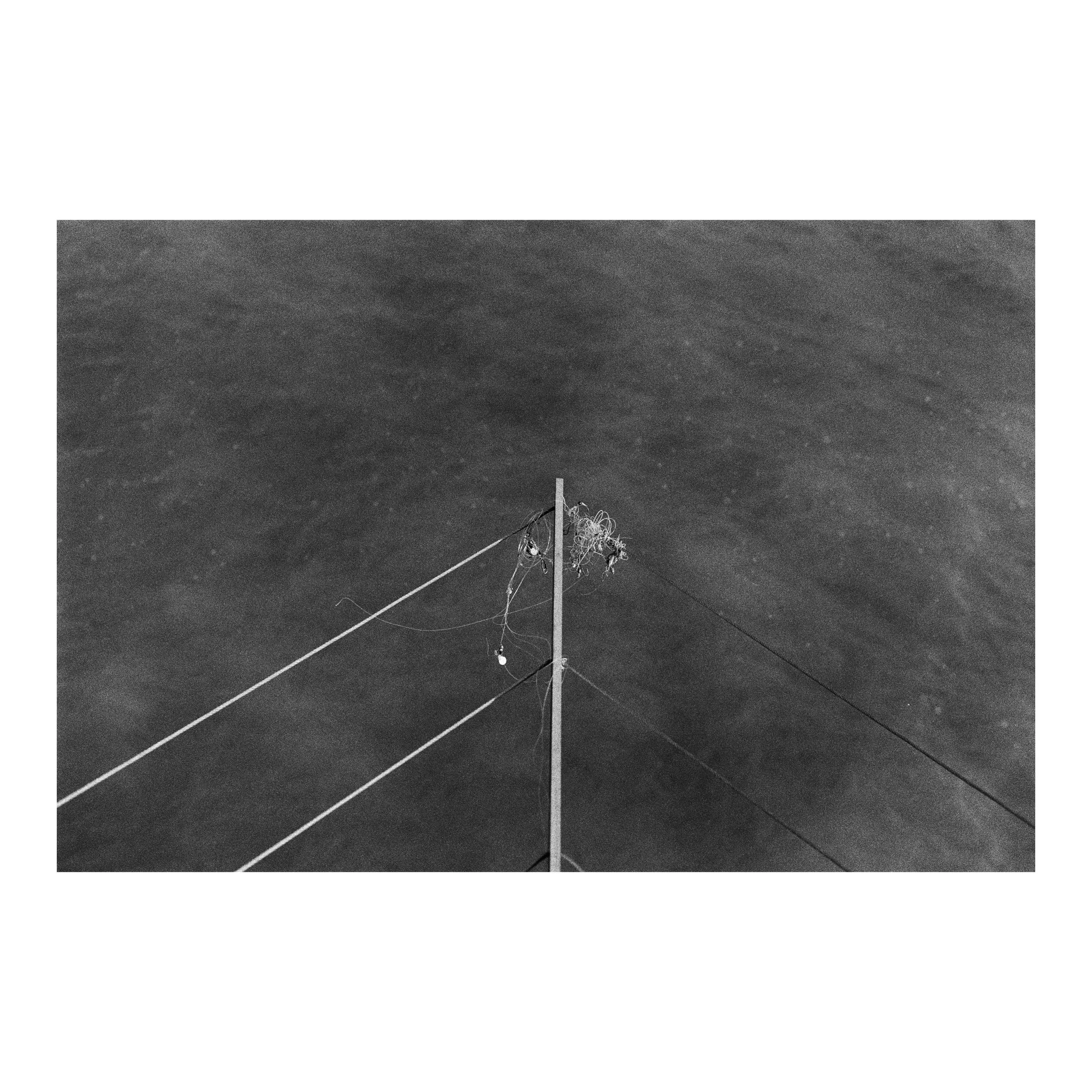 Whitagram-Image.jpeg
