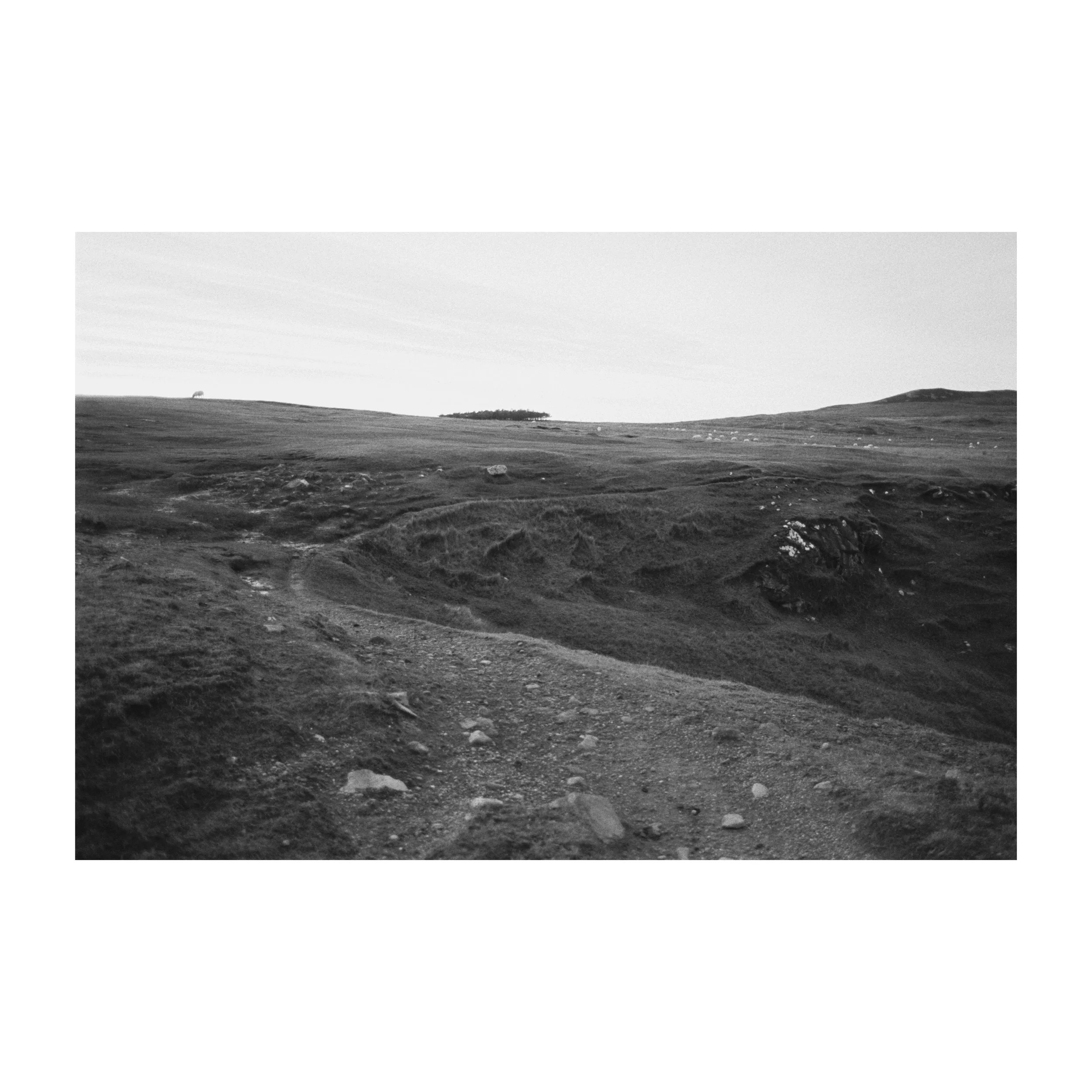Whitagram-Image.jpeg