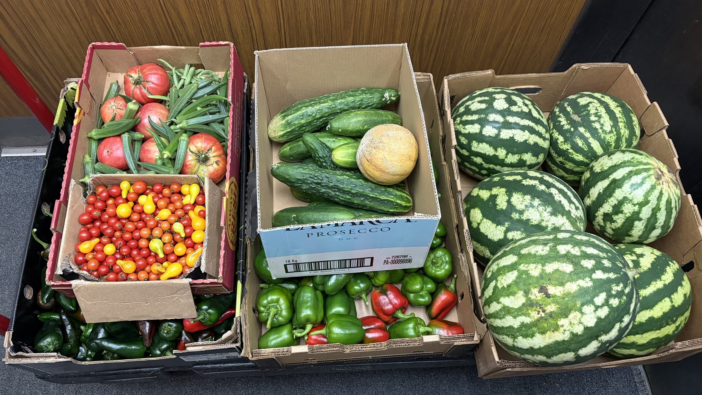 A colorful assortment of freshly harvested vegetables, beans, and melons.