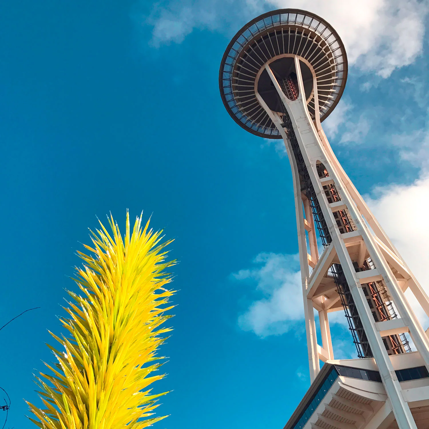 Chihuly & the Needle