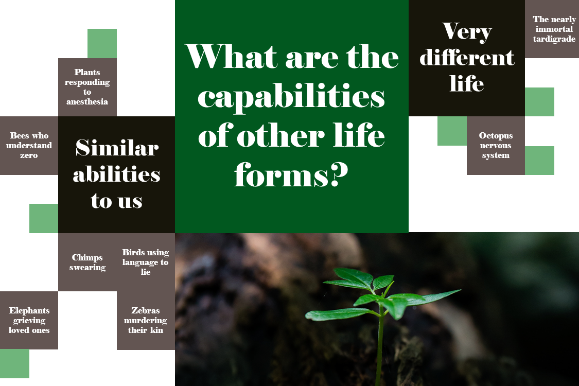 Slide1a.png
