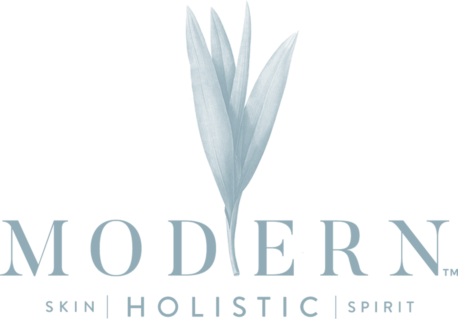 MODERN Holistic Skin