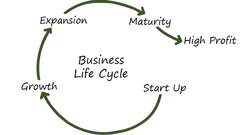 Business Life Cycle.png