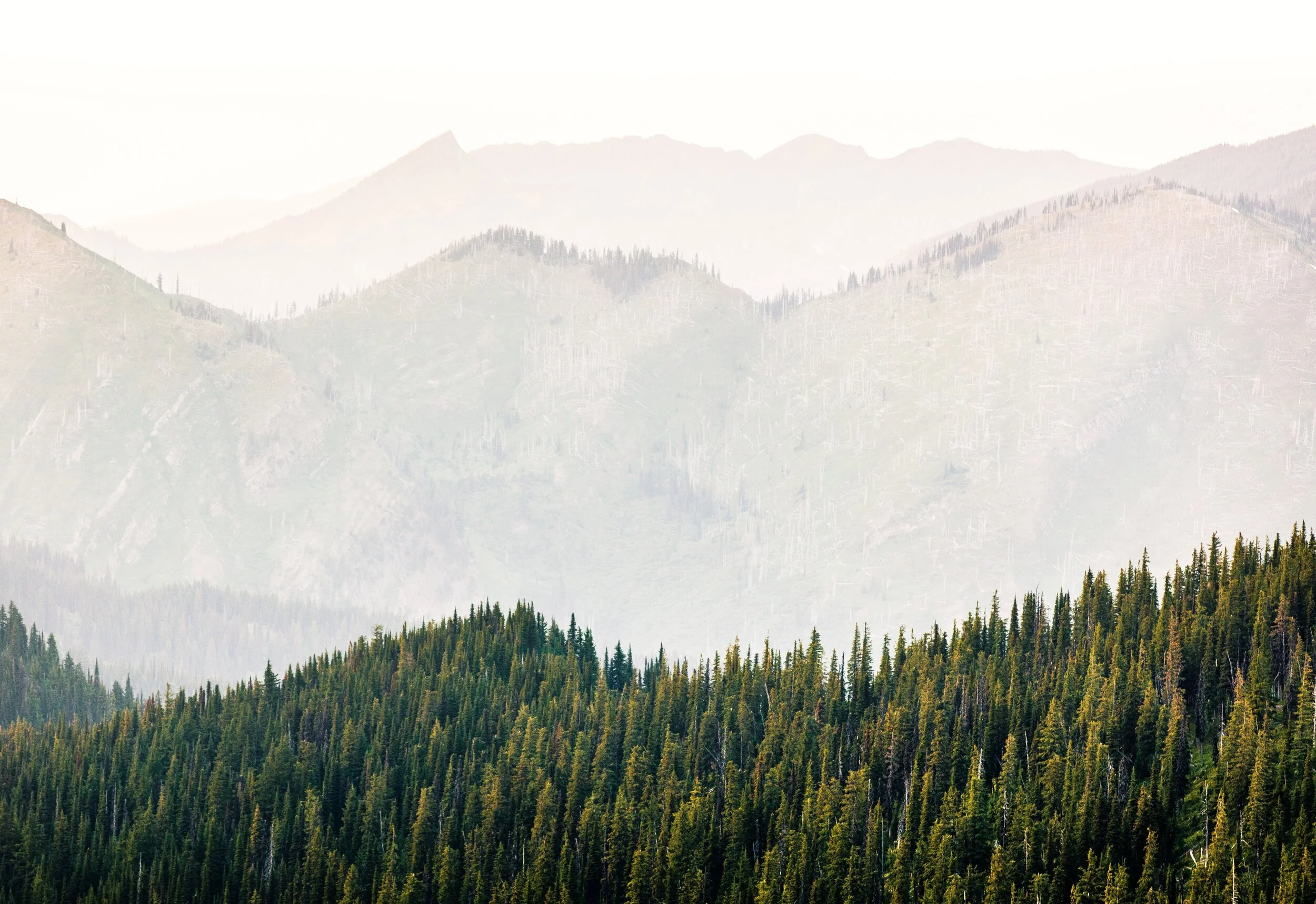 Ridgelines.jpg