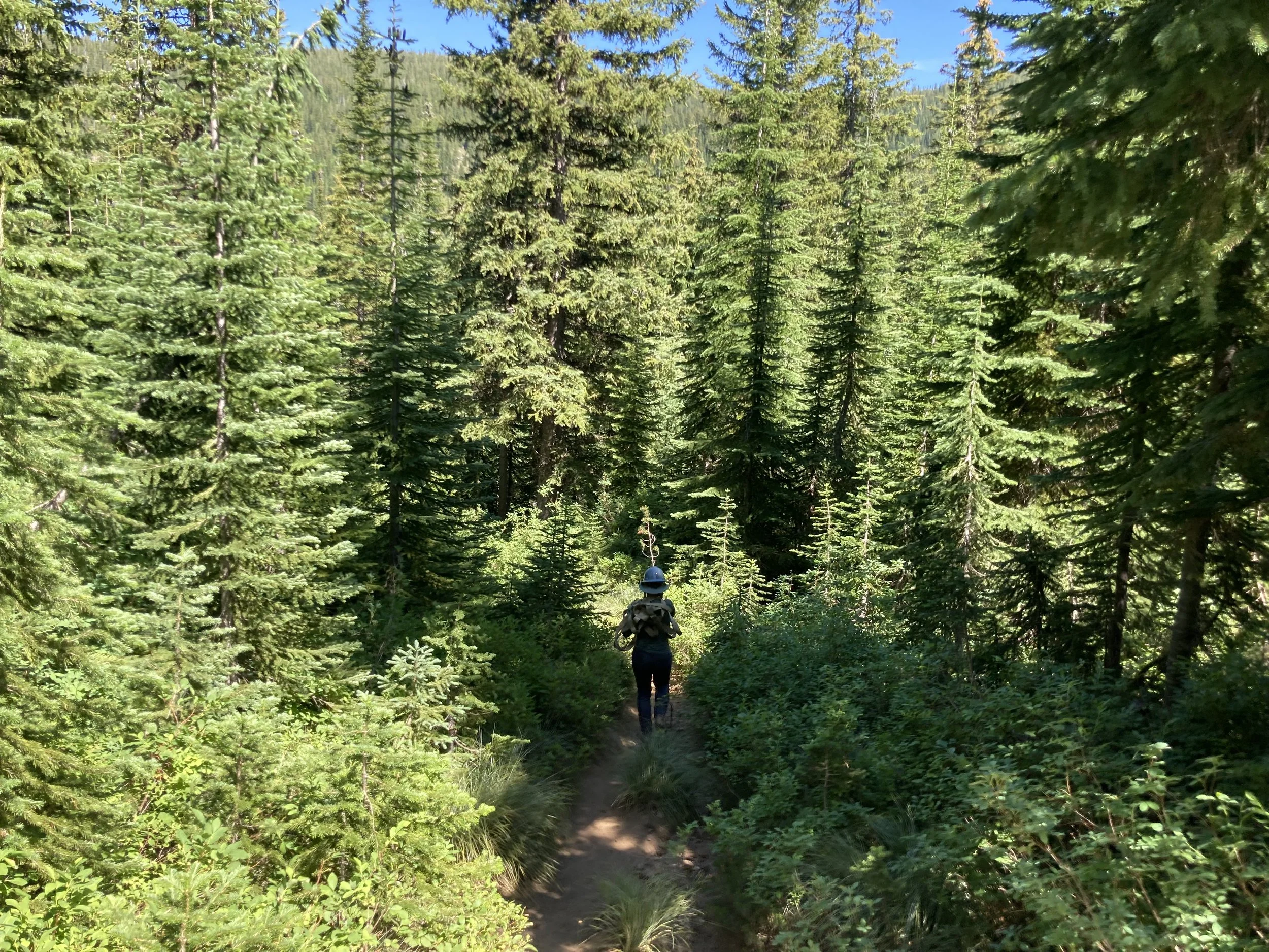 Heart Lake Trail Improvement — Great Burn Conservation Alliance