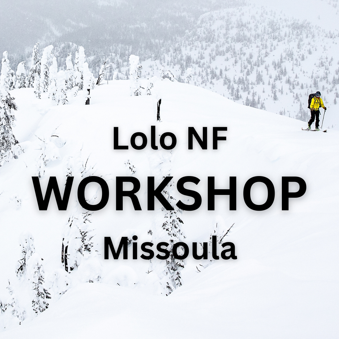 Workshop: Preliminary Wilderness Inventory (Missoula)