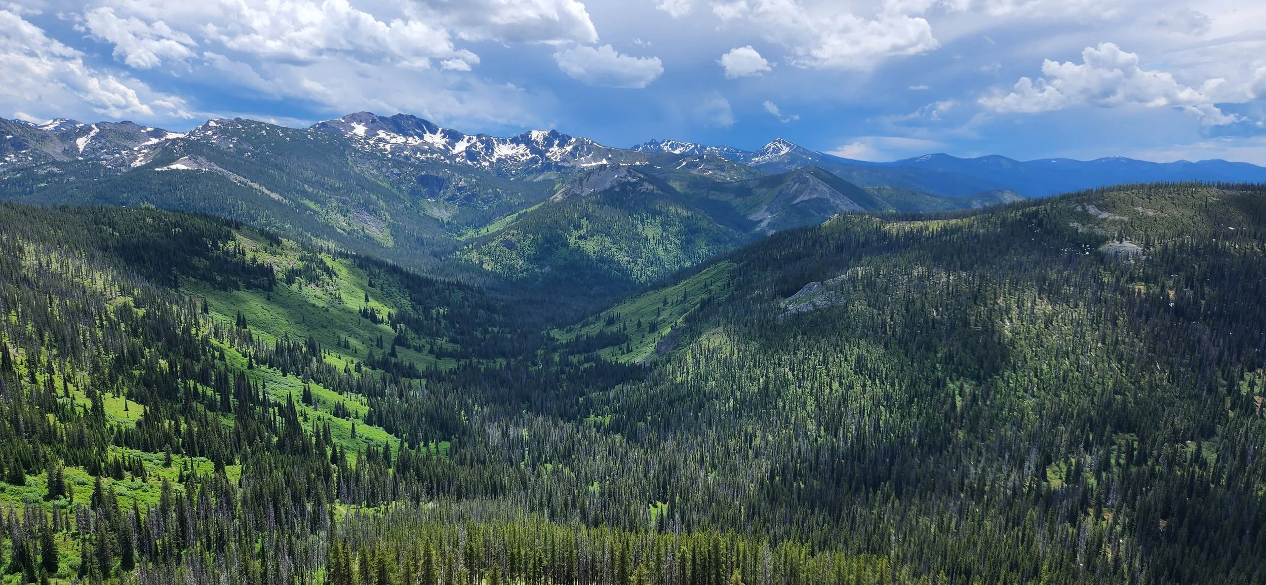 Stateline Trail Traverse with Here Montana