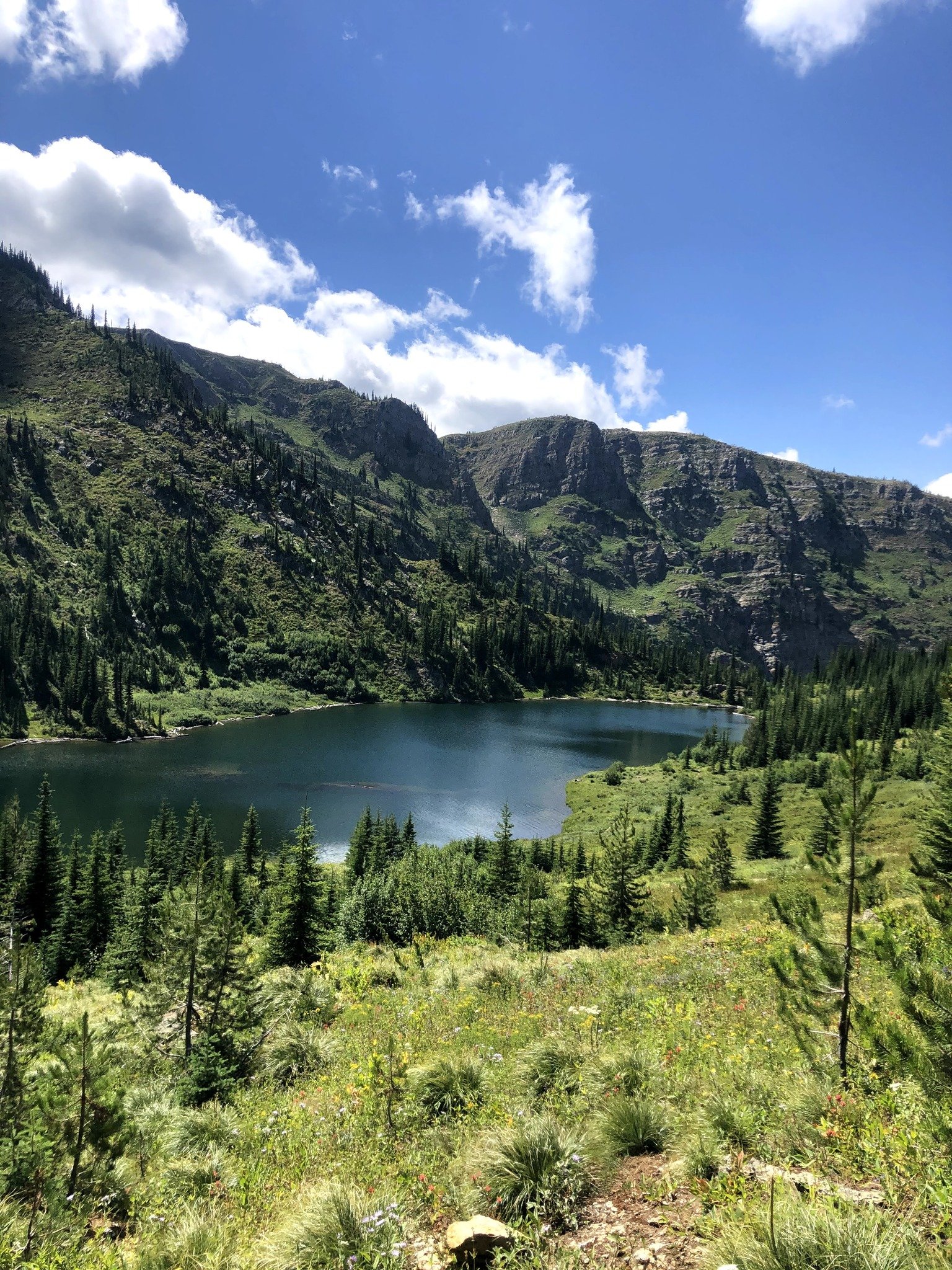Pearl Lake Meadow Restoration 