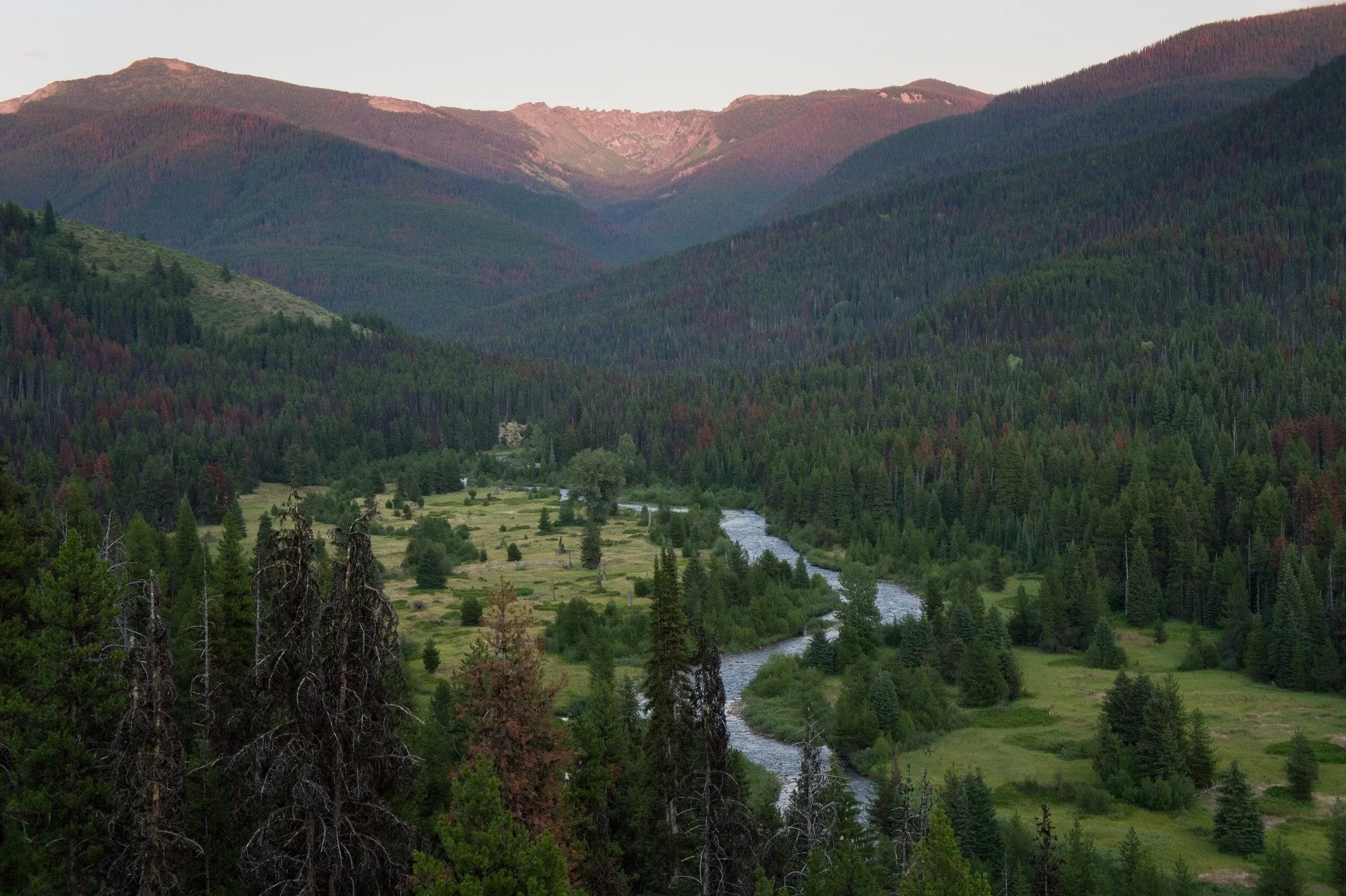 Hanson Meadows Restoration Monitoring
