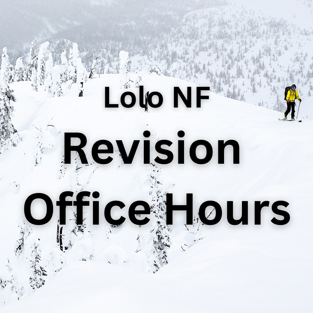 Revision Team Office Hours