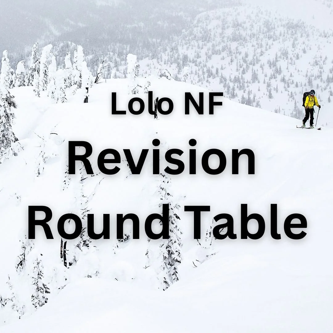 Revision Team Office Hours