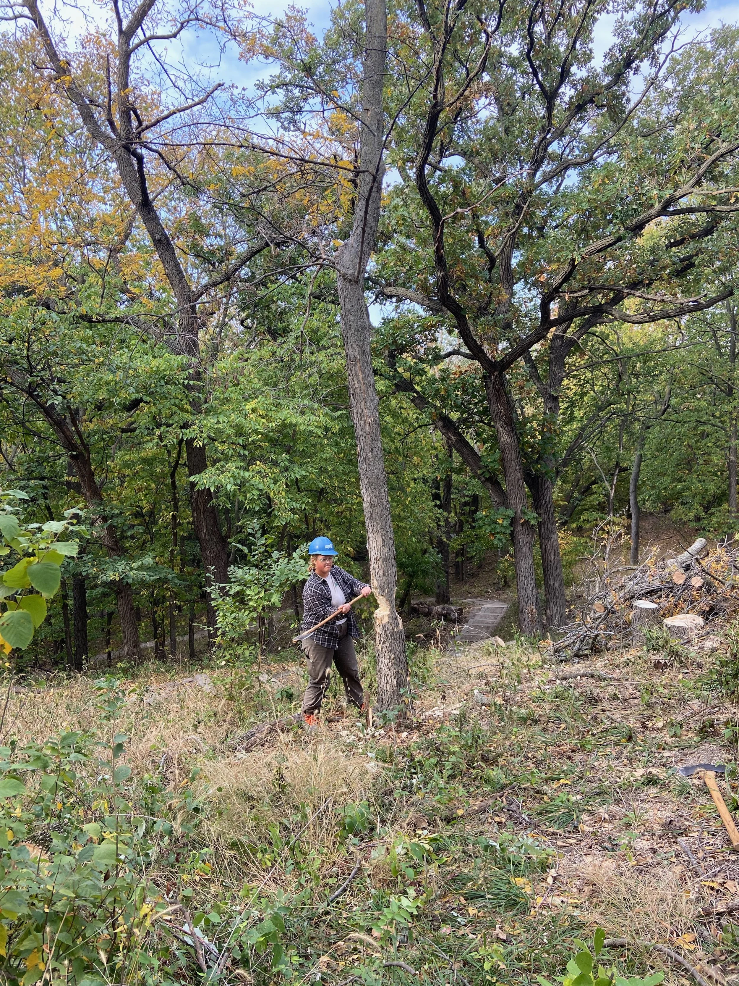 New BSWC Member- Meet Kate