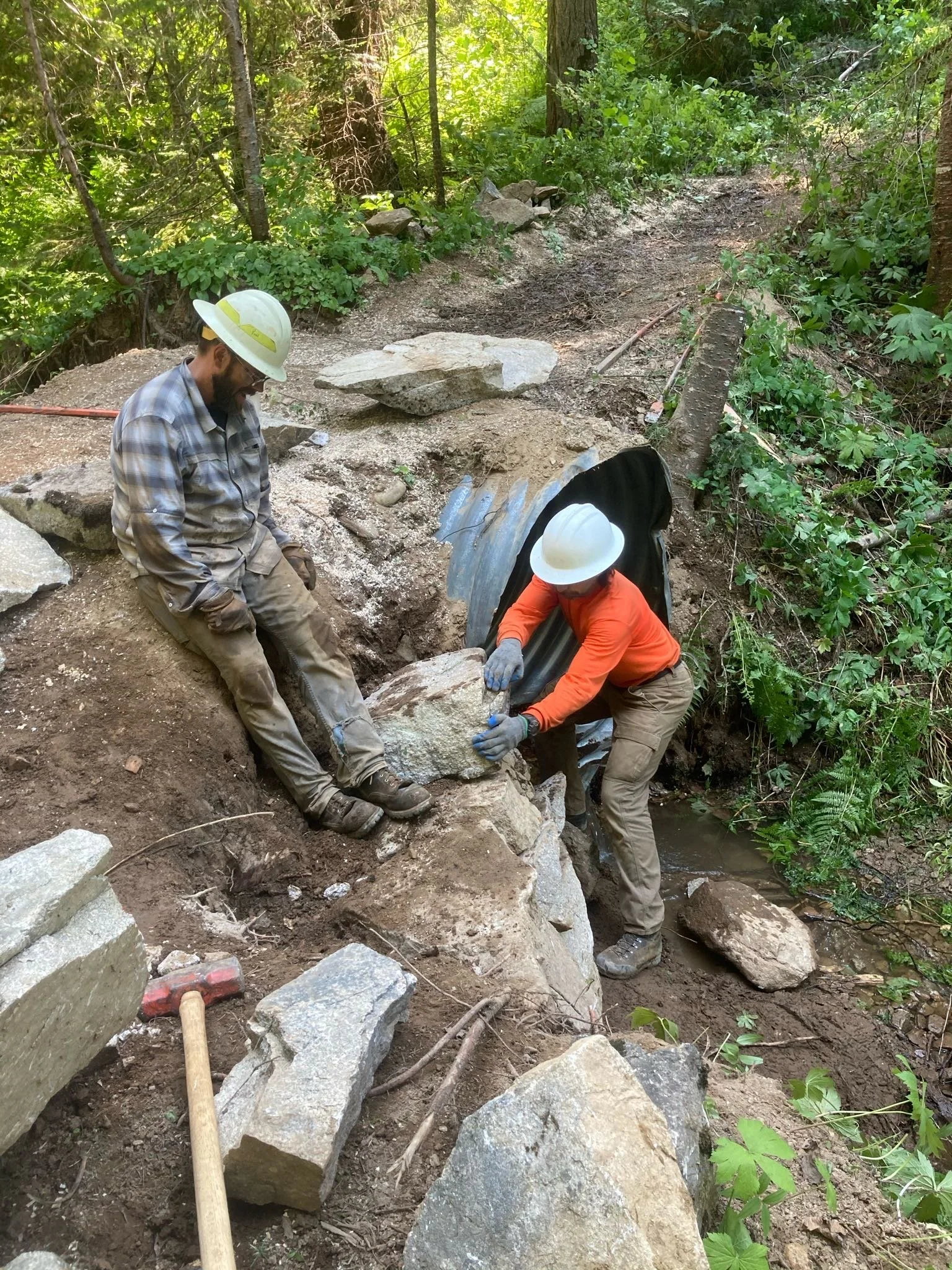 The Vital Role of the U.S. Forest Service: Why Partnerships Alone Aren't Enough
