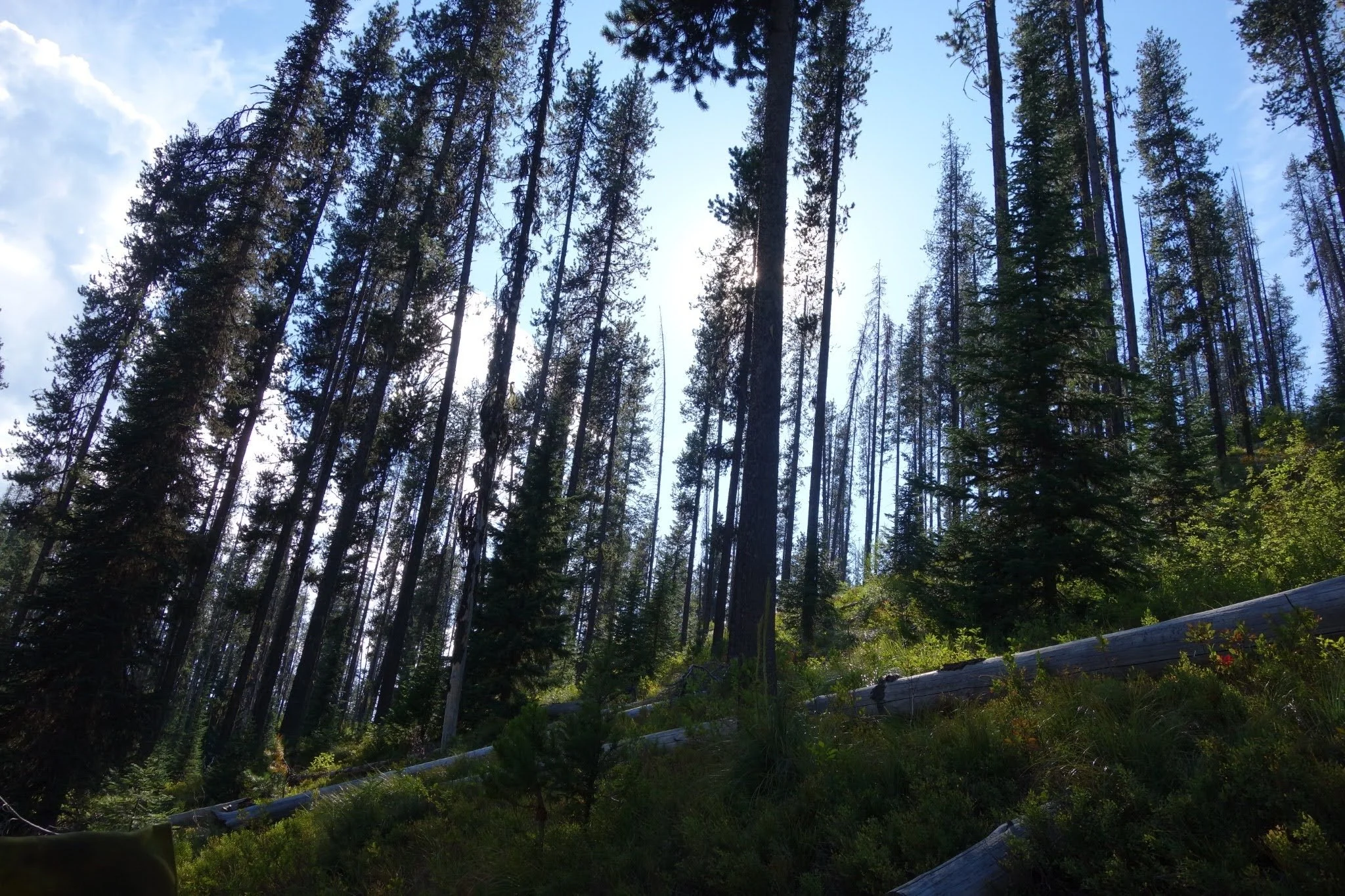 unnamed (18).jpg