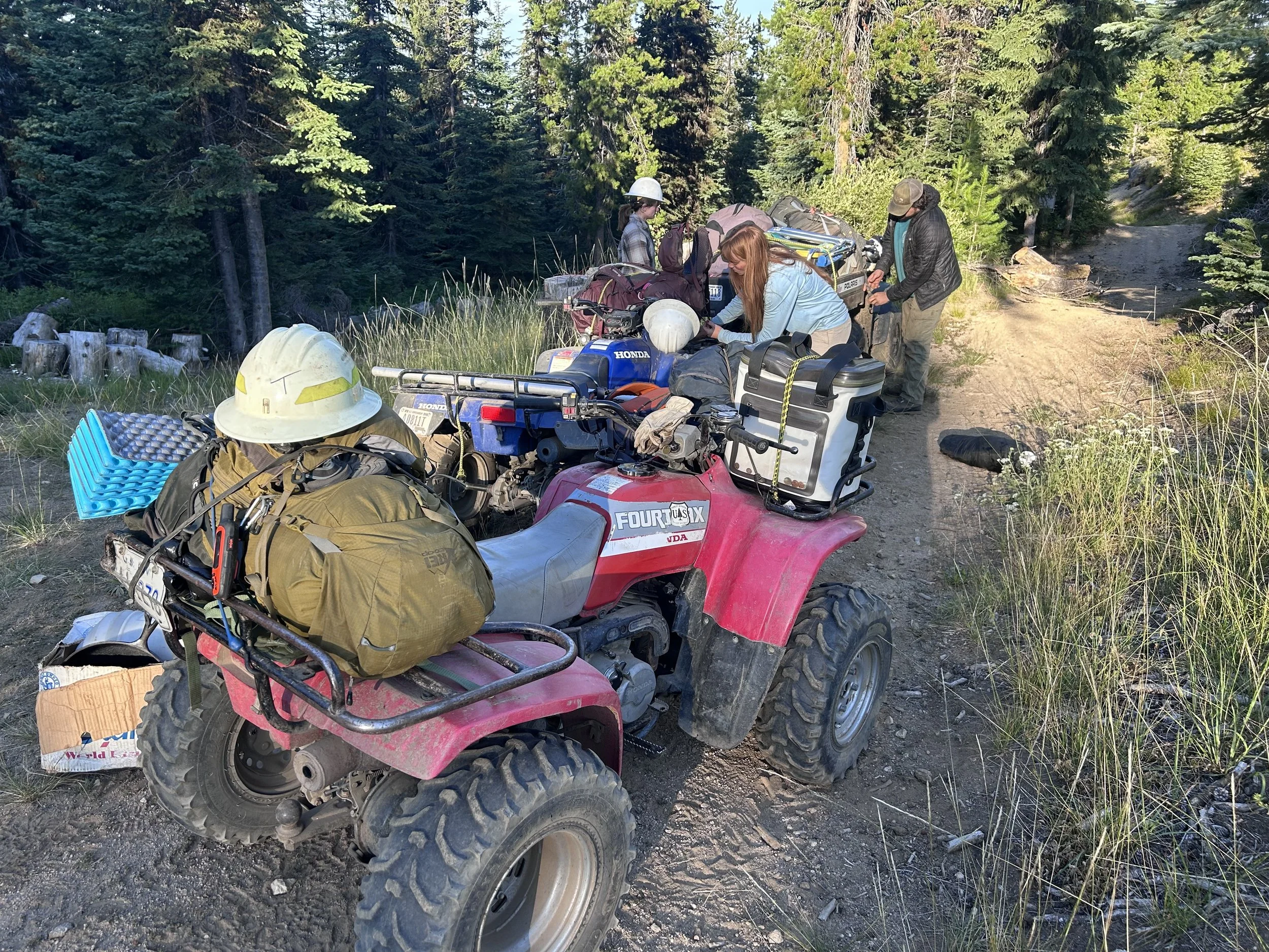 A Season of Impact: 2025 Field Season in Review — Great Burn ...