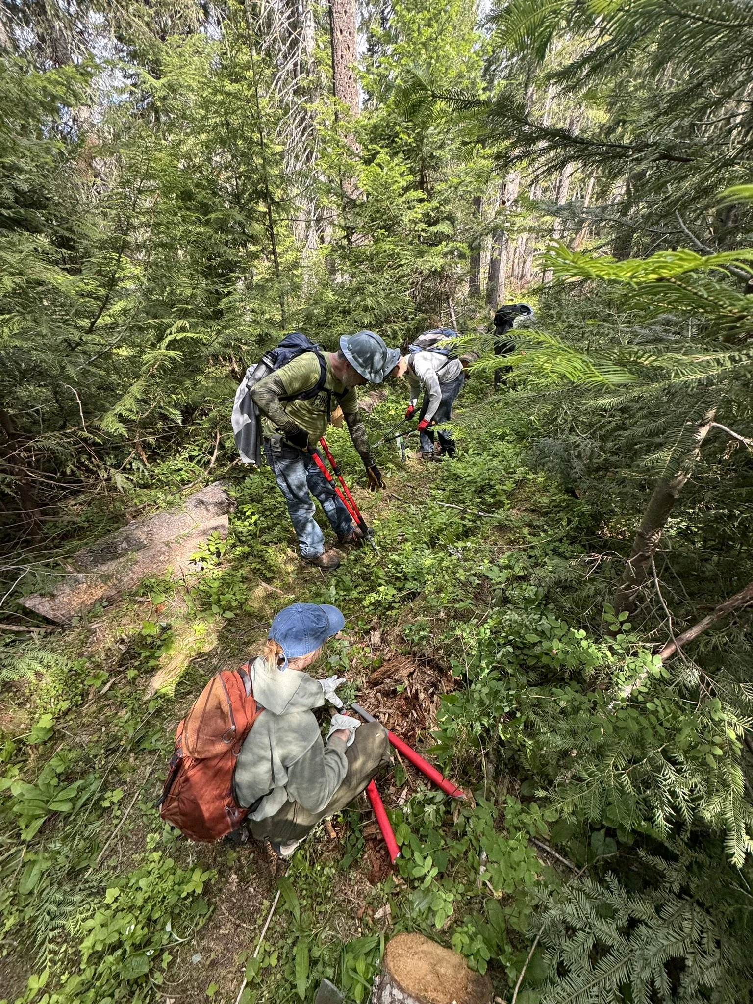 LewisClarkTrailImprovement_NationalTrailsDay_Brushing_June2025.JPEG
