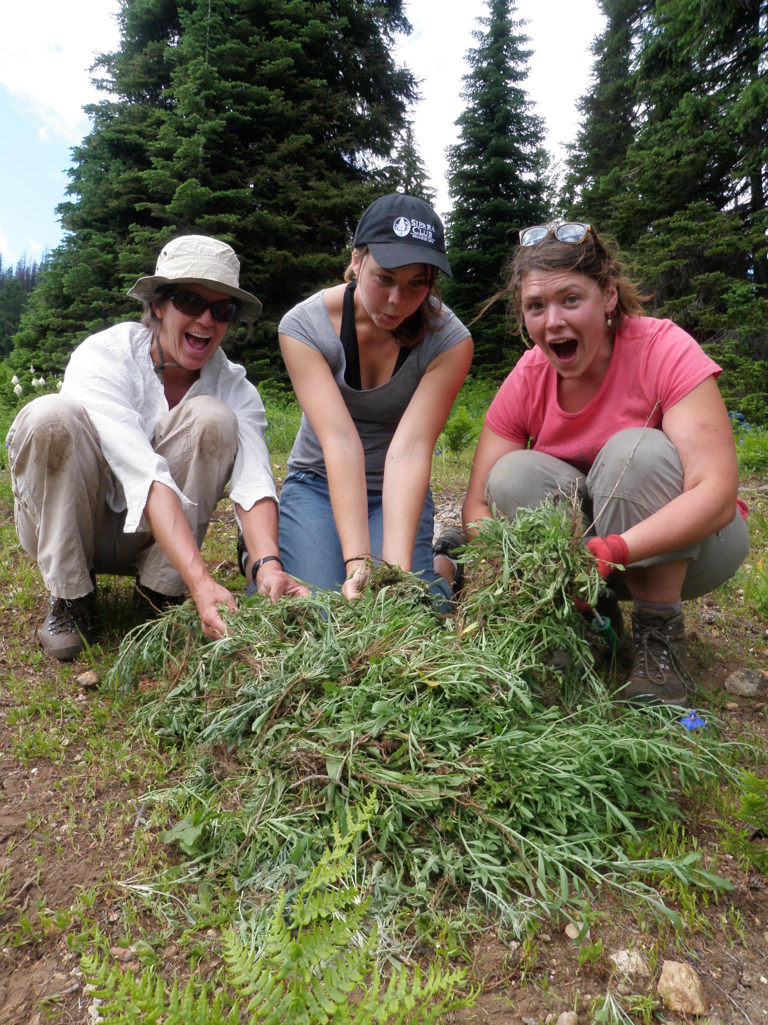 Irish_Basin_weed_pull_volunteer_2011 (2).JPG