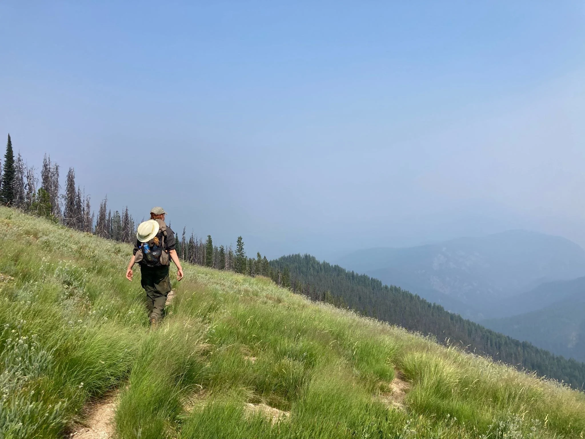 Windy Bill Trail Improvement w/ ITA