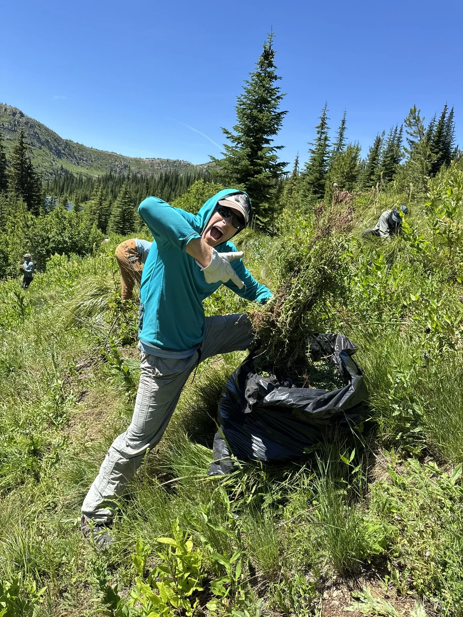 Pearl Lake Meadow Restoration