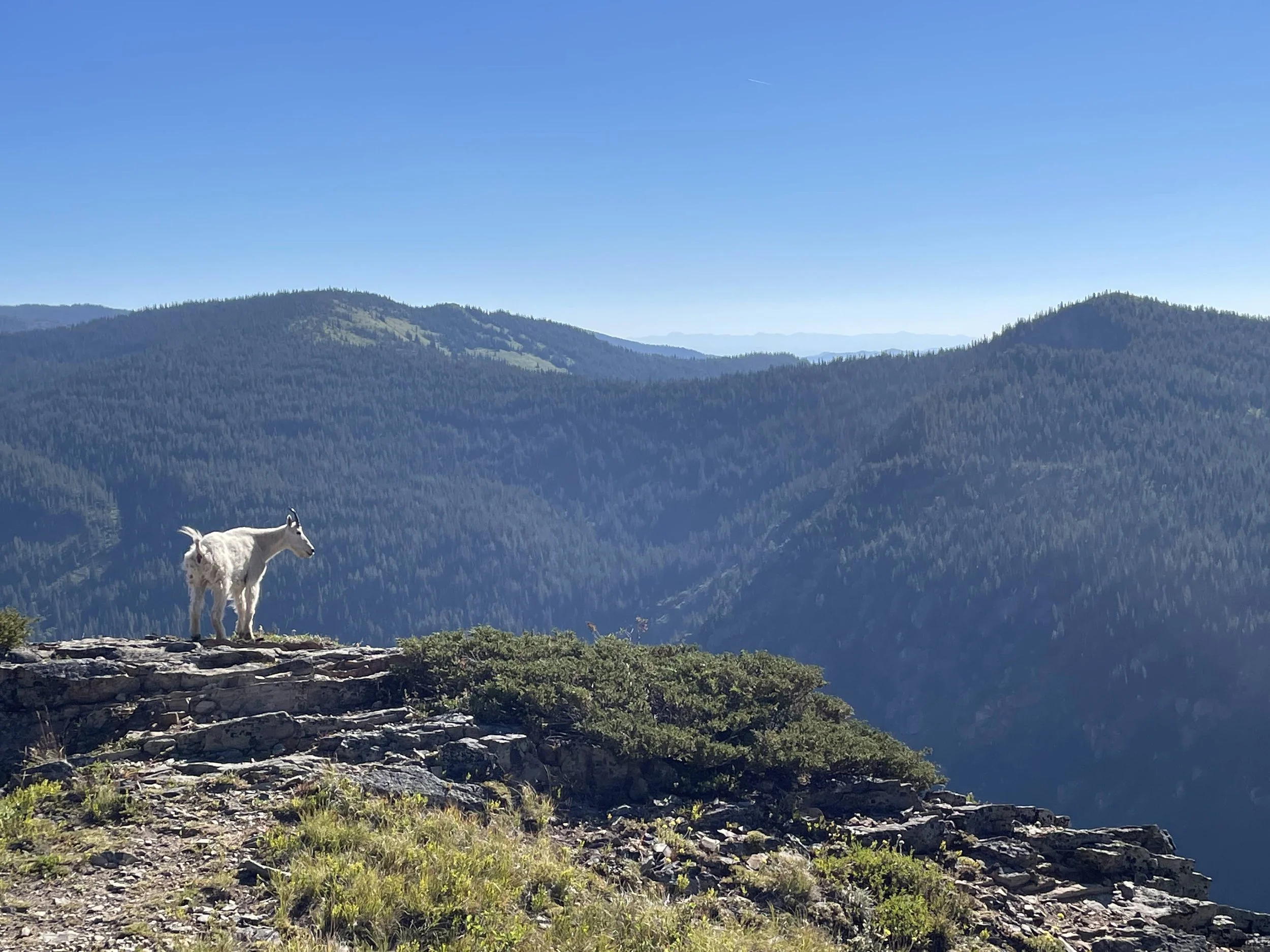 Gather for the Great Burn