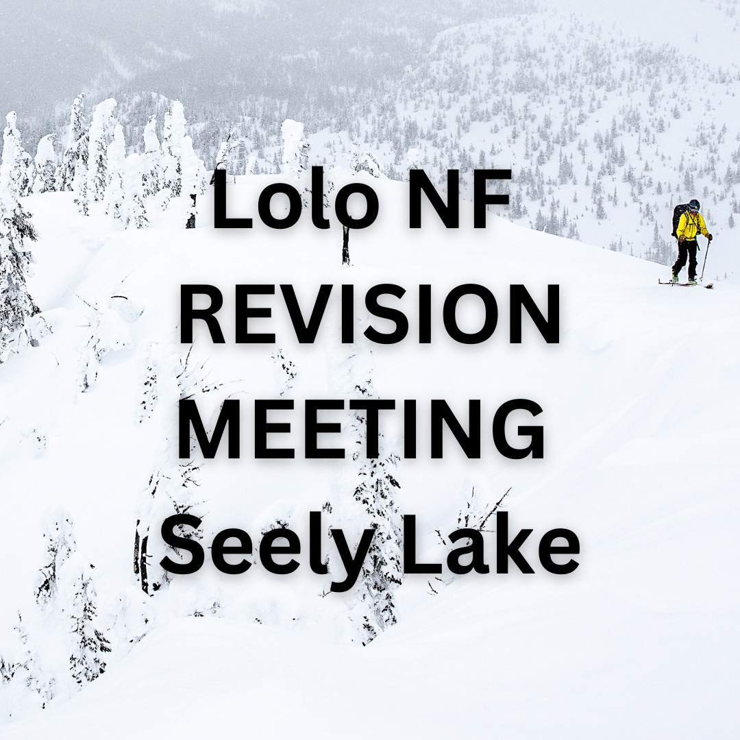 Lolo Forest Plan Revision Community Meeting - Seely Lake