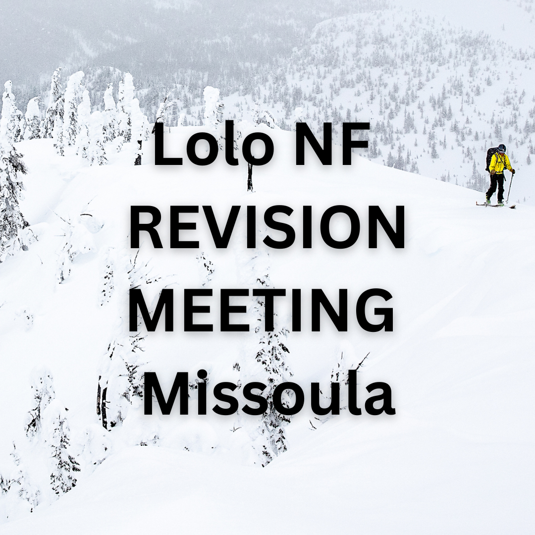 Lolo Forest Plan Revision Community Meeting - Missoula