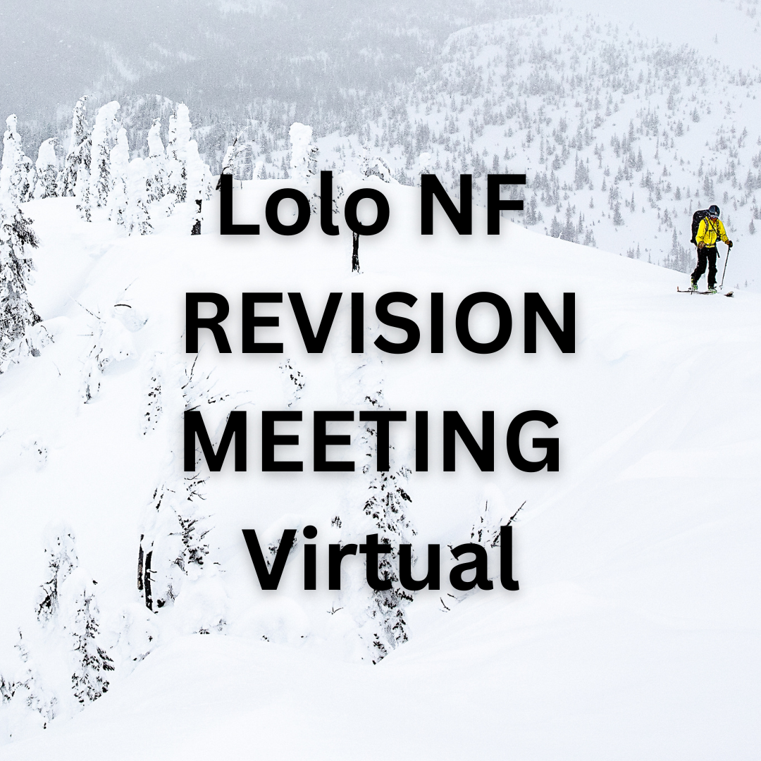 Lolo Forest Plan Revision Community Meeting - Virtual