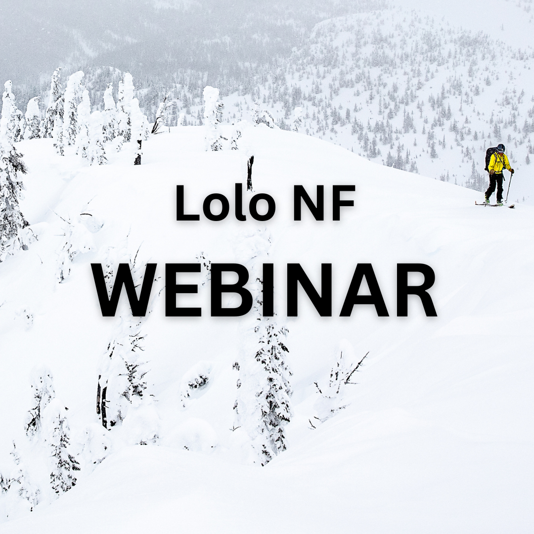 Lolo Plan Revision Land Allocation Framework Webinar