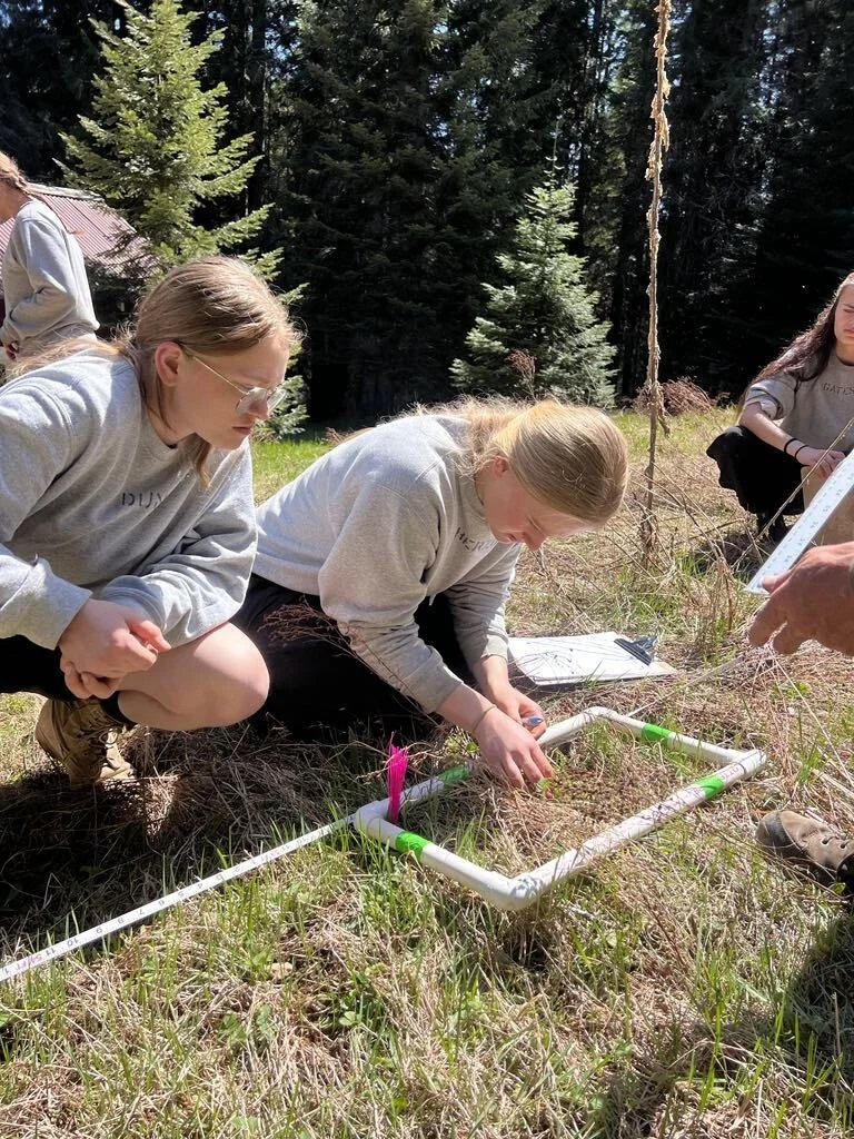 IDYCA_WeitasCreek_SIMP_Monitoring.jpg