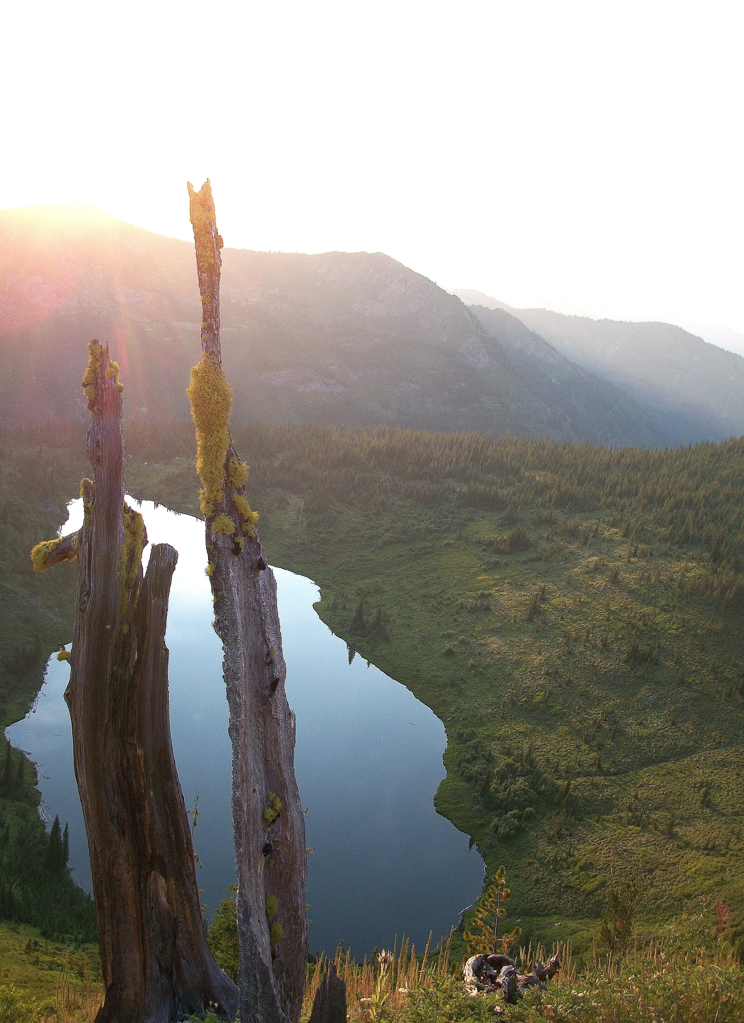Pearl Lake Meadow Restoration