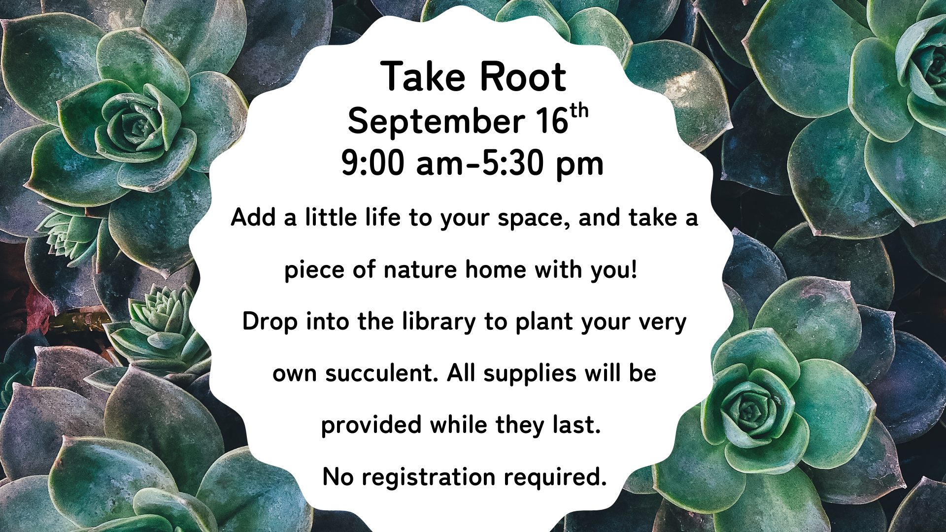 9-16 Succulents Flyer (Presentation).png