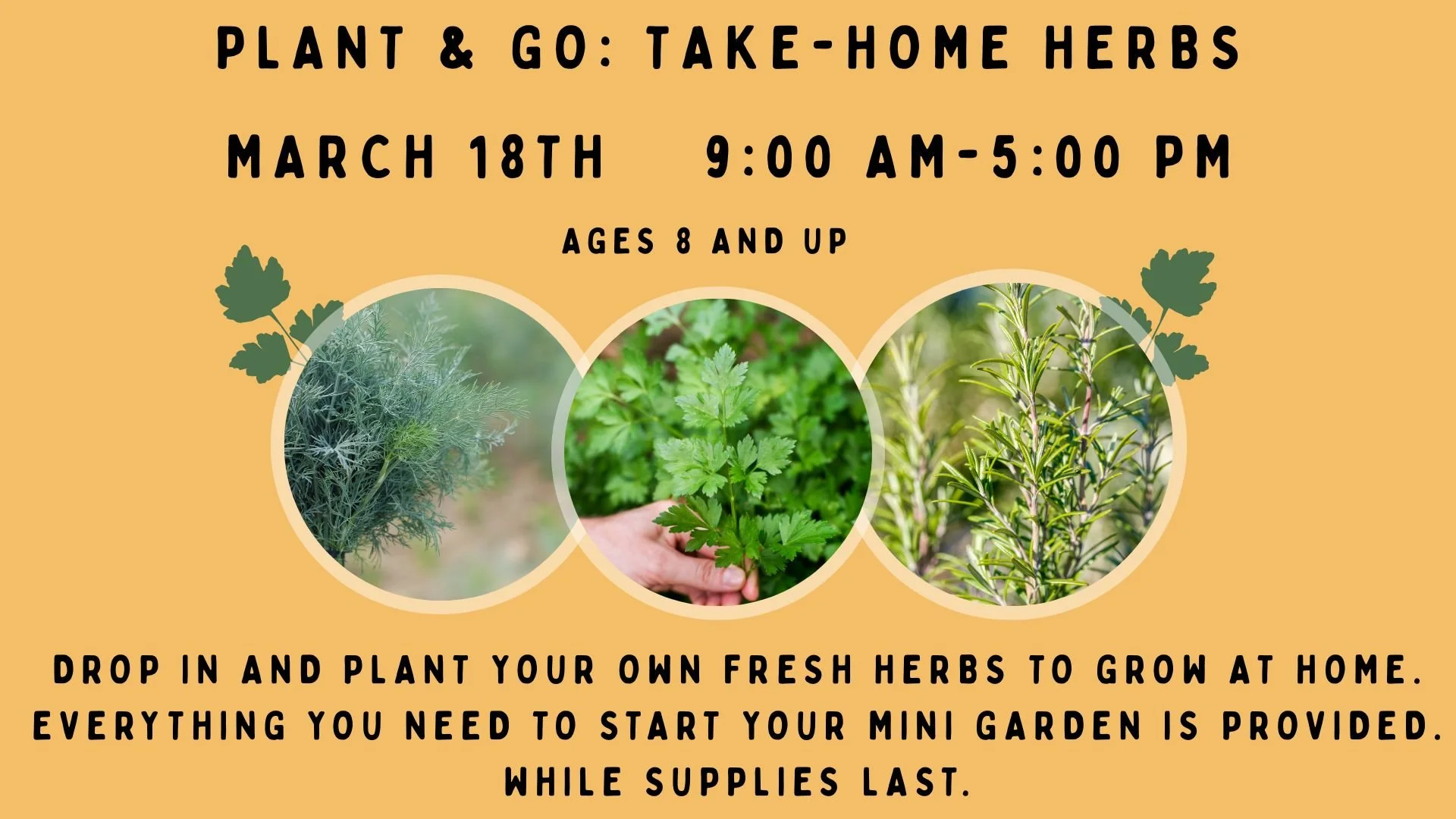 3-18  Herb Planting Flyer (Presentation).jpg