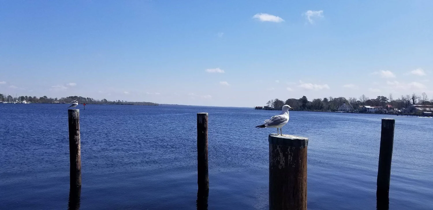 Utilities Department — Pasquotank County North Carolina