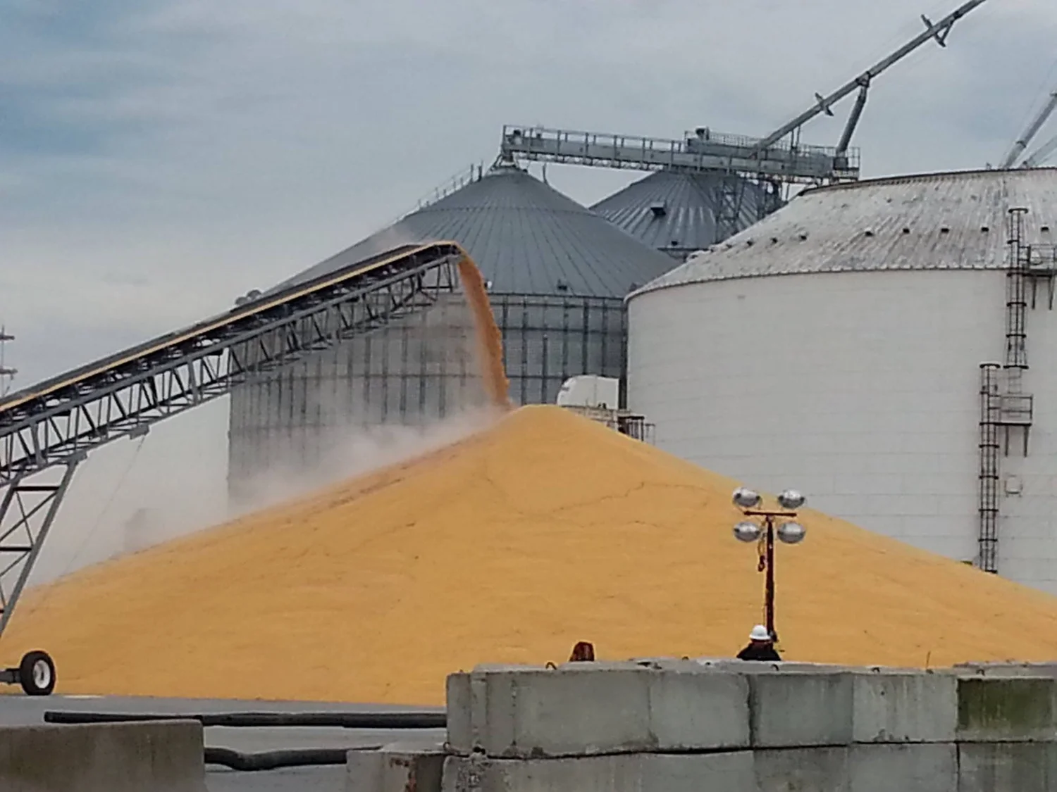 Tax Office — Pasquotank County North Carolina