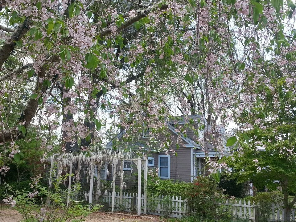 GIS Office — Pasquotank County North Carolina