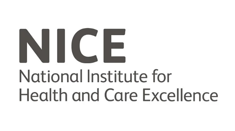 nice-logo.jpg